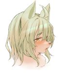  1girl ahoge animal_ears blush cat_ears cat_girl cat_tail furry furry_female green_hair hawthorn highres open_mouth original shiny shiny_hair short_hair simple_background solo tail upper_body whiskers white_background yellow_eyes 