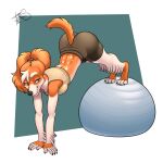  anthro ass_up bottomwear bra canid canine canis cheek_tuft clothing domestic_dog ears_tied_back exercise exercise_ball facial_tuft floppy_ears freckles_(artist) fur gym_bottomwear gym_clothing gym_shorts hair half-closed_eyes hi_res male mammal multicolored_body multicolored_fur narrowed_eyes orange_body orange_fur pecas_(freckles) raised_tail shorts simple_background smile solo sports_bra tuft two_tone_body two_tone_fur underwear white_body white_fur white_hair 