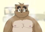  2022 absurd_res anthro belly brown_body canid canine hi_res kemono kounosuke_(morenatsu) kumatoron male mammal moobs morenatsu nipples overweight overweight_male raccoon_dog solo steam tanuki video_games visual_novel 