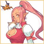  borrowed_character breasts brown_eyes cleavage cleavage_cutout elf large_breasts long_hair original pointy_ears ponytail sanemichi_hajime solo 