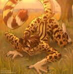  acinonyx_jubatus all_fours anthro arched_back ass_up bedroom_eyes black_sclera blurred_background brown_hair cheetah clawed_fingers commander_braithor digital_media_(artwork) felid feline fighting_pose fur grass hair hi_res imminent_pounce looking_at_viewer male mammal narrowed_eyes nude orange_eyes outside plant pose raised_tail savanna seductive smile solo spots spotted_body spotted_fur striped_body striped_fur stripes tree xenoguardian yellow_body yellow_fur 