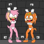  amy_rose anthro ball_gag bdsm blue_eyes bra chest_wraps clothing cuff_(restraint) darksonic250 duo echidna eulipotyphlan female gag green_eyes hedgehog hi_res mammal metal_cuffs monotreme orange_body panties pink_body raised_arms restrained_arms restrained_legs restrained_to_wall restraints sega sonic_adventure sonic_the_hedgehog_(series) tikal_the_echidna underwear white_bra white_clothing white_panties white_underwear wraps 