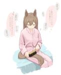  1girl animal_ears bangs bed blush breast_pocket brown_hair closed_eyes closed_mouth cropped_legs hair_brush horse_ears horse_girl horse_tail kogomiza long_hair long_sleeves motion_lines pajamas pants pink_pants pink_shirt pocket shirt sitting smart_falcon_(umamusume) solo tail tail_brushing thought_bubble translation_request umamusume wavy_mouth white_background 