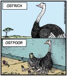  ambiguous_gender avian beverage_can bird comic container cup english_text frown holding_cup holding_object humor ostrich outside ratite sitting smile solo standing straw text tony_zuvela 