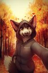  2018 anthro autumn black_body black_fur black_hair canid canine canis clothed clothing dated domestic_dog fangs fluffy fluffy_tail fur glistening glistening_eyes grey_clothing grey_jacket grey_nose grey_topwear hair half-length_portrait happy hi_res husky jacket leaf looking_at_viewer male mammal mylafox nordic_sled_dog open_mouth open_smile outside portrait red_tongue signature smile solo spitz standing tongue topwear white_body white_fur yellow_eyes 
