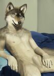  absurd_res anatomically_correct anatomically_correct_genitalia anatomically_correct_penis animal_genitalia animal_penis anthro balls bed bedroom blue_eyes canid canine canine_penis canis djano fully_sheathed furniture genitals hi_res looking_at_viewer male mammal navel nipples one_eye_closed open_mouth penis reclining sheath solo wink winking_at_viewer wolf 