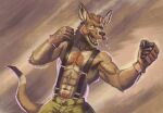  abs anthro body_hair bottomwear chest_hair clothing facial_hair fighting_pose gloves handwear happy_trail hi_res kangaroo macropod male mammal marsupial mma muscular mustache nipples pants pose rrougarou1 shirtless sideburns simple_background solo suspenders 