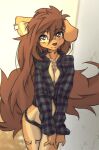  anthro apogee_(tinygaypirate) big_tail black_nose breast_squeeze breasts brown_body brown_eyes brown_fur brown_hair canid canine canis cheek_tuft cleavage clothed clothing cowlick domestic_dog dress_shirt ear_piercing eyebrow_through_hair eyebrows eyelashes facial_markings facial_piercing facial_tuft female floppy_ears fur furgonomics furry-specific_piercing hair hair_over_eye head_markings hi_res inner_ear_fluff long_hair looking_at_viewer mammal markings mottled mottled_nose muzzle_piercing nose_piercing one_eye_obstructed panties pattern_clothing pattern_shirt pattern_topwear piercing pink_nose plaid plaid_clothing plaid_shirt plaid_topwear pubic_mound shirt simple_background slim smile solo spitz standing tan_background tinygaypirate topwear translucent translucent_hair tuft underwear 