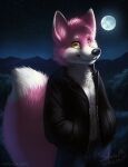  2016 anthro black_clothing black_jacket black_nose black_topwear canid closed_smile clothed clothing dated fluffy fluffy_tail fur glistening glistening_eyes grass hair hand_in_pocket head_tuft hi_res jacket looking_at_viewer male mammal moon mountain mouth_closed mylafox open_clothing open_jacket open_topwear outside pink_hair plant pockets portrait shrub signature sky solo standing star text three-quarter_portrait topwear tuft url white_body white_fur yellow_eyes 