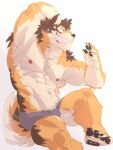  abs absurd_res anthro barrel_(live-a-hero) canid canine canis clothing grin hi_res lifewonders live-a-hero male mammal meimei_kia muscular muscular_anthro muscular_male nipples pecs smile solo underwear video_games wolf 