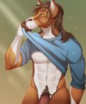  abs andrew_(wasen) anthro brown_hair clothed clothing clothing_lift digital_media_(artwork) equid equine genitals hair horse looking_away male mammal multicolored_body partially_clothed penis pubes shirt shirt_lift simple_background solo topwear two_tone_body yellow_eyes zefa 