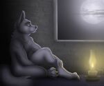  2022 brooding canid canine canis digital_media_(artwork) hi_res invalid_tag lamp lantern light male mammal moody moon night pose sitting solo somber unknown_artist wolf wolfir 