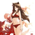  1girl absurdres animal_ears arknights arm_at_side bikini breasts brown_hair cleavage closed_mouth cowboy_shot ear_piercing highres long_hair looking_at_viewer navel orange_eyes piercing prossss red_bikini signature skyfire_(arknights) small_breasts solo standing swimsuit 