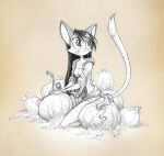  anthro breasts brown_background clothed clothing david_lillie dipstick_tail domestic_cat dreamkeepers felid feline felis female food fruit fur hair hi_res lilith_calah mammal markings plant pumpkin simple_background solo tail_markings 