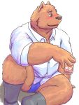  2022 absurd_res anthro blue_clothing blue_eyes blue_underwear blush brown_body canid canine clothing hi_res kemono male mammal misterdonn overweight overweight_male shirt sitting solo topwear underwear 