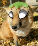  :3 canid canine chensaurio cute_expression cute_eyes edit elemental_creature feral flora_fauna fox foxchen invalid_tag male mammal photo_manipulation photography_(artwork) plant prehistoric shopped solo 