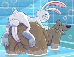  2022 3_toes all_fours anthro anthro_on_anthro anti_dev anus balls bathing_together bathroom bathtub bdsm big_balls big_butt big_penis black_dot_eyes brown_balls brown_body brown_fur bubble butt butt_size_difference canid canine canis digital_media_(artwork) domestic_dog dominant duo erection feet fur gaping gaping_anus genitals glans grin head_tuft hi_res hot_dogging humanoid_genitalia humanoid_penis inside interspecies lagomorph leporid long_ears male male/male male_anthro mammal max_(sam_and_max) nude overweight overweight_anthro overweight_male penis pink_glans pink_nose rabbit sam_and_max samuel_dog sex sharp_teeth size_difference slim slim_anthro slim_male small_dom_big_sub smile teeth toes tuft water white_body white_fur 