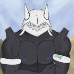  aggron anthro big_muscles ches96 generation_3_pokemon male muscular nintendo nipples pokemon pokemon_(species) solo video_games 