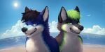  2:1 anthro backlighting black_hair blue_body blue_eyes blue_fur blue_sky canid cheek_tuft cloud duo_focus facial_tuft fur glistening glistening_eyes green_eyes green_hair grin group hair light lighting looking_at_viewer male mammal mylafox neck_tuft one_eye_closed outside seaside short_hair sky smile text tuft url water white_body white_fur 