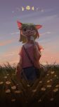  anisette_(noitro) anthro clothing domestic_cat felid feline felis flower girly hi_res looking_at_viewer male mammal meadow one_eye_closed plant solo sunset wink 