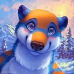  1:1 anthro backlighting blue_body blue_eyes blue_fur blush brown_nose bust_portrait closed_smile front_view fur glistening glistening_eyes hill light lighting looking_at_viewer male mammal mouth_closed mylafox neck_tuft nude orange_body orange_fur plant portrait sky snow solo text tree tuft url ursid white_body white_fur 