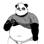  2022 anthro belly big_belly black_body blush clothed clothing clothing_lift giant_panda hi_res male mammal mikomabonk moobs navel nipples overweight overweight_male shirt shirt_lift simple_background solo topwear underwear ursid white_body 