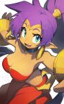  2022 breasts cleavage clothed clothing ear_piercing ear_ring female fingers genie hair hata4564 hi_res humanoid humanoid_pointy_ears long_hair not_furry open_mouth open_smile piercing ponytail purple_hair ring_piercing shantae shantae_(series) smile solo tan_body tan_skin teeth video_games wayforward 