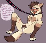 anthro bodily_fluids bussy canid canine chimeracocks collar degradation fox genital_fluids genitals hi_res humanoid leash_and_collar male mammal nonbinary petplay pinup pose pussy pussy_juice roleplay scar scars_all_over solo trans_(lore) trans_man_(lore) 
