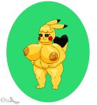  absurd_res anthro big_breasts breasts clothing cosplay_pikachu_(character) cosplay_pikachu_(costume) female generation_1_pokemon genitals hi_res holding_belly huge_breasts looking_at_belly nintendo nude ori-doggo pikachu pikachu_libre pokemon pokemon_(species) pregnant pussy solo solo_focus thick_thighs video_games volta_(ori-doggo) 