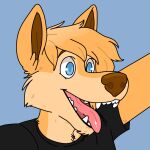  1:1 2022 anthro black_clothing black_shirt black_topwear blue_background blue_eyes canid canine canis clothed clothing cubi digital_media_(artwork) domestic_dog fur male mammal open_mouth shiba_inu shirt simple_background snout solo spitz teeth tongue tongue_out topwear 