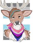  absurd_res anthro antlers bandanna blue_hair brown_body brown_eyes brown_fur bust_portrait cervid fur hair happy hi_res horn humanoid kerchief lgbt_pride male mammal portrait pride_colors saerix saerixdurr sketch solo spots white_body white_fur 