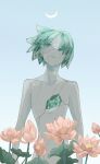  1other androgynous aqua_hair arms_at_sides cracked_skin crescent_moon crystal_hair floating_hair flower highres houseki_no_kuni leaf looking_at_viewer lotus moon moon_in_daylight nude one-eyed other_focus parted_lips phosphophyllite short_hair sky solo twilight umino_mozuku upper_body 