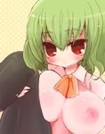  ascot bad_id bad_pixiv_id breasts green_hair kazami_yuuka large_breasts leg_lift marshmallow_mille nipples pantyhose red_eyes short_hair solo touhou 