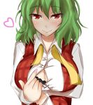  bra breast_hold breasts cleavage green_hair kazami_yuuka large_breasts lingerie naughty_face poshi_(ginmokusei) red_eyes short_hair solo touhou underwear 