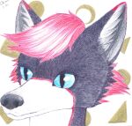  2021 anthro black_body black_fur blue_eyes crown_(artist) fur hair hi_res hybrid mouth_closed pink_hair signature snout solo three-quarter_view traditional_media_(artwork) white_body white_fur 