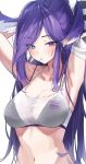  1girl absurdres armpits black_bra blue_eyes blush bra breasts cleavage dragon_girl hair_tie_in_mouth hair_wings highres large_breasts mouth_hold multicolored_eyes navel nijisanji nijisanji_en pointy_ears ponytail purple_eyes purple_hair ruru_(ruru_nnnn) see-through selen_tatsuki slit_pupils solo sports_bra underwear upper_body virtual_youtuber white_background 