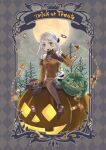  1girl arciela_v_adoulin cookie food framed full_moon green_eyes grey_hair halloween highres leafkin moon night night_sky pumpkin sky star_(sky) starry_sky sweets 