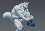  abs anthro biceps canid canine canis clothing facial_hair footwear goatee hi_res jockstrap jockstrap_only male mammal muscular muscular_thighs pecs redwolfalang shoes simple_background socks solo tying_shoes underwear wolf 