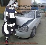  3_fingers 5_fingers anthro avian big_(disambiguation) bird broken_car canid canine canis car feathers female fingers grey_hair hair helluva_boss kaycraftytrus loona_(helluva_boss) mammal meme octavia_(helluva_boss) owl russian_text small_(disambiguation) text vehicle wolf 