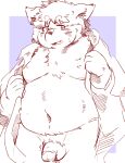  2022 anthro balls belly blush canid canine canis clothing domestic_dog genitals hi_res humanoid_hands kabutomushi_23 kemono male mammal moobs navel overweight overweight_male penis robe solo 