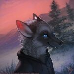  1:1 2020 ambiguous_gender anthro black_clothing black_jacket black_topwear blue_eyes bust_portrait canid cheek_tuft closed_smile clothed clothing dated ears_back facial_tuft fangs fur glistening glistening_eyes glowing glowing_eyes grey_body grey_fur head_tuft hi_res jacket mammal mouth_closed mylafox orange_sky outside pivoted_ears plant portrait pupils signature slit_pupils solo text three-quarter_view topwear tree tuft url whiskers 