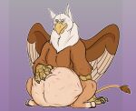  abdominal_bulge accipitrid accipitriform after_vore ambiguous_gender avian bald_eagle beak belly big_belly bird eagle feral feral_pred gryphon hand_on_stomach looking_down mythological_avian mythology sea_eagle sitting thatgryphonguy vore wings 