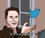 1boy artist_request black_eyes brown_hair brown_jacket elon_musk english_text highres is_this_a_pigeon_(meme) jacket logo male_focus meme open_clothes open_jacket open_mouth real_life short_hair teeth twitter twitter_logo upper_teeth window 