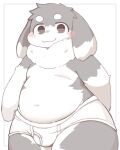  2022 anthro blush blush_lines briefs briefs_only circle_eyebrows clothing countershading digital_drawing_(artwork) digital_media_(artwork) dipstick_ears eyebrows fur grey_body grey_ears grey_eyes grey_face grey_fur hands_behind_back hi_res kawaiimono_yoi kemono lagomorph leporid looking_at_viewerblush male mammal multicolored_ears navel neck_tuft rabbit slightly_chubby solo thick_thighs tighty_whities tuft two_tone_face underwear white_body white_briefs white_clothing white_countershading white_ears white_eyebrows white_face white_fur white_underwear 