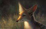  16:10 2020 ambiguous_gender artist_name black-backed_jackal blurred_background bust_portrait canid canine canis cheek_tuft dated facial_tuft feral fur glistening glistening_eyes grass grey_body grey_fur jackal mammal mouth_closed mylafox orange_body orange_eyes orange_fur outside plant portrait signature solo tan_body tan_fur text tuft url whiskers widescreen 