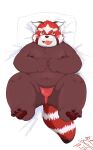  2022 ailurid anthro asian_clothing belly blush clothing east_asian_clothing feet fundoshi hi_res japanese_clothing kemono lifewonders lying male mammal navel nipples overweight overweight_male pillow red_body red_clothing red_fundoshi red_panda red_underwear solo tengzai05 tokyo_afterschool_summoners underwear video_games young zhurong_(tas) 