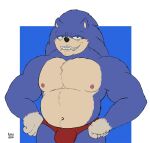  biceps bulge clothed clothing eulipotyphlan green_eyes grin hedgehog hi_res looking_at_viewer male mammal muscular navel nipples risuhiena sega smile solo sonic_the_hedgehog sonic_the_hedgehog_(series) topless ugly_sonic underwear 