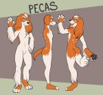  anthro black_pawpads butt canid canine canis domestic_dog floppy_ears freckles_(artist) fur hair half-closed_eyes hi_res looking_at_viewer male mammal model_sheet multicolored_body multicolored_fur narrowed_eyes open_mouth open_smile orange_body orange_fur pawpads paws pecas_(freckles) smile solo tongue tongue_out two_tone_body two_tone_fur wave white_body white_fur white_hair 