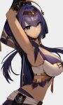 1girl armpits blue_eyes breasts candace_(genshin_impact) closed_mouth dark-skinned_female dark_skin genshin_impact heterochromia highres large_breasts long_hair low_twintails muri_(butter210330) purple_hair simple_background smile solo twintails upper_body vision_(genshin_impact) white_background yellow_eyes 