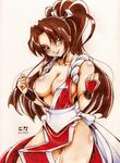  breasts brown_hair fatal_fury highres hika-unik large_breasts lipstick makeup pelvic_curtain ponytail scan shiranui_mai solo the_king_of_fighters traditional_media 